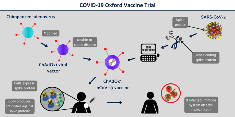 covid 19 vaccine infographic