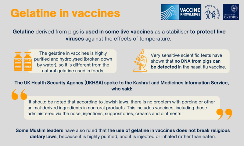 gelatine in vaccines