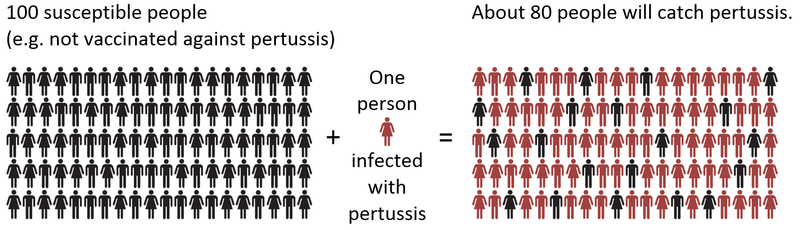 how infectious is pertussis 