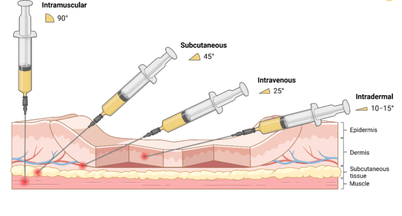 intradermal vaccination