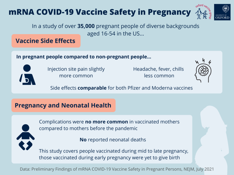 mrna covid 19 vaccine safety in pregnancy final