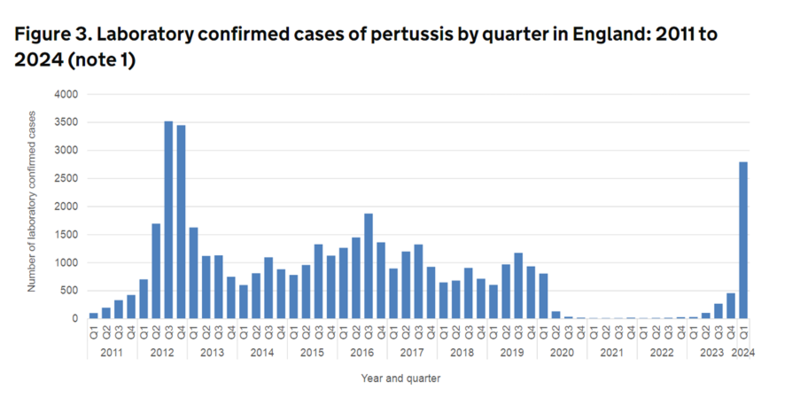 pertussis1