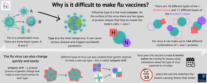 why is it difficult to make flu vaccines